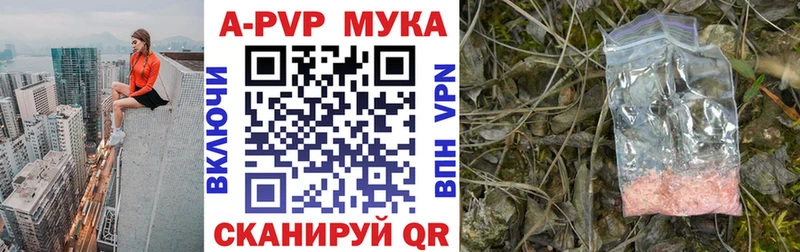 A PVP СК КРИС  Горбатов 