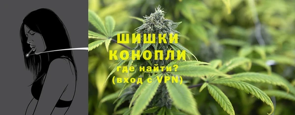 бошки Горняк