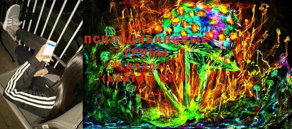 ешки Гусиноозёрск