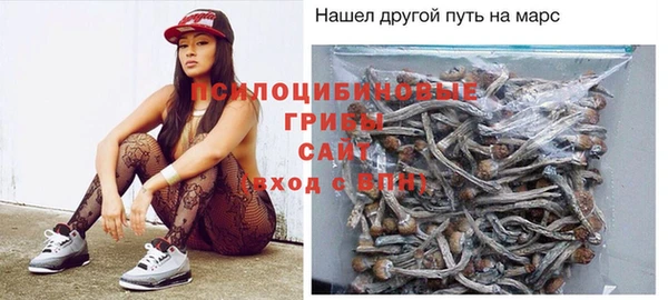 не бодяженный Гусев