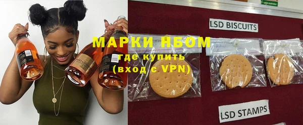 прущие грибы Дмитров