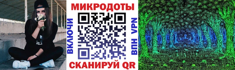 Галлюциногенные грибы Psilocybe  Горбатов 